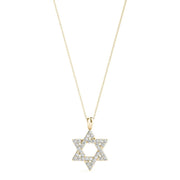 Lab Diamond Star of David Necklace - Robson's Jewelers