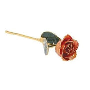 Lacquered Orange Rose with Gold Trim - Robson's Jewelers