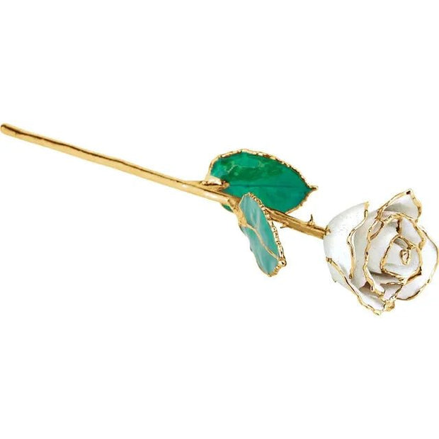 Lacquered Sparkle White Diamond Colored Rose with Gold Trim - Robson's Jewelers