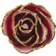 Lacquered Frozen White & Red Rose with Gold Trim - Robson's Jewelers