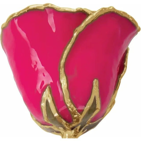 Lacquered Magenta Rose with Gold Trim - Robson's Jewelers