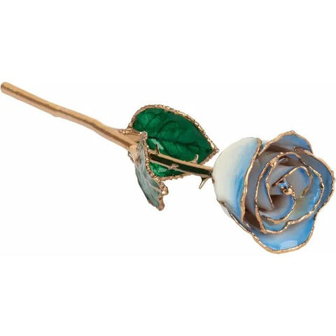 Lacquered Cream Blue Rose with Gold Trim - Robson's Jewelers