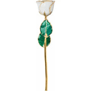 Lacquered Pearl Colored Rose with Gold Trim - Robson's Jewelers