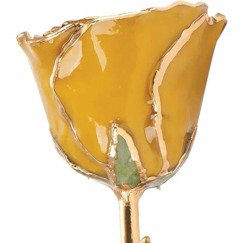 Lacquered Yellow Topaz Colored Rose with Gold Trim - Robson's Jewelers