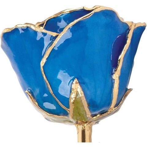 Lacquered Blue Sapphire Colored Rose with Gold Trim - Robson's Jewelers