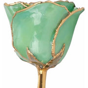 Lacquered Peridot Colored Rose with Gold Trim - Robson's Jewelers