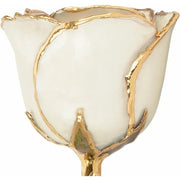 Lacquered Pearl Colored Rose with Gold Trim - Robson's Jewelers