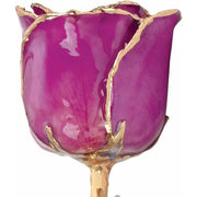 Lacquered Amethyst Colored Rose with Gold Trim - Robson's Jewelers