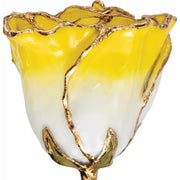 Lacquered Cream Yellow Rose with Gold Trim - Robson's Jewelers